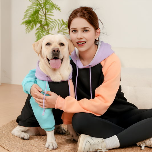 Must-Have Toys to Keep Your Pets Active and Happy